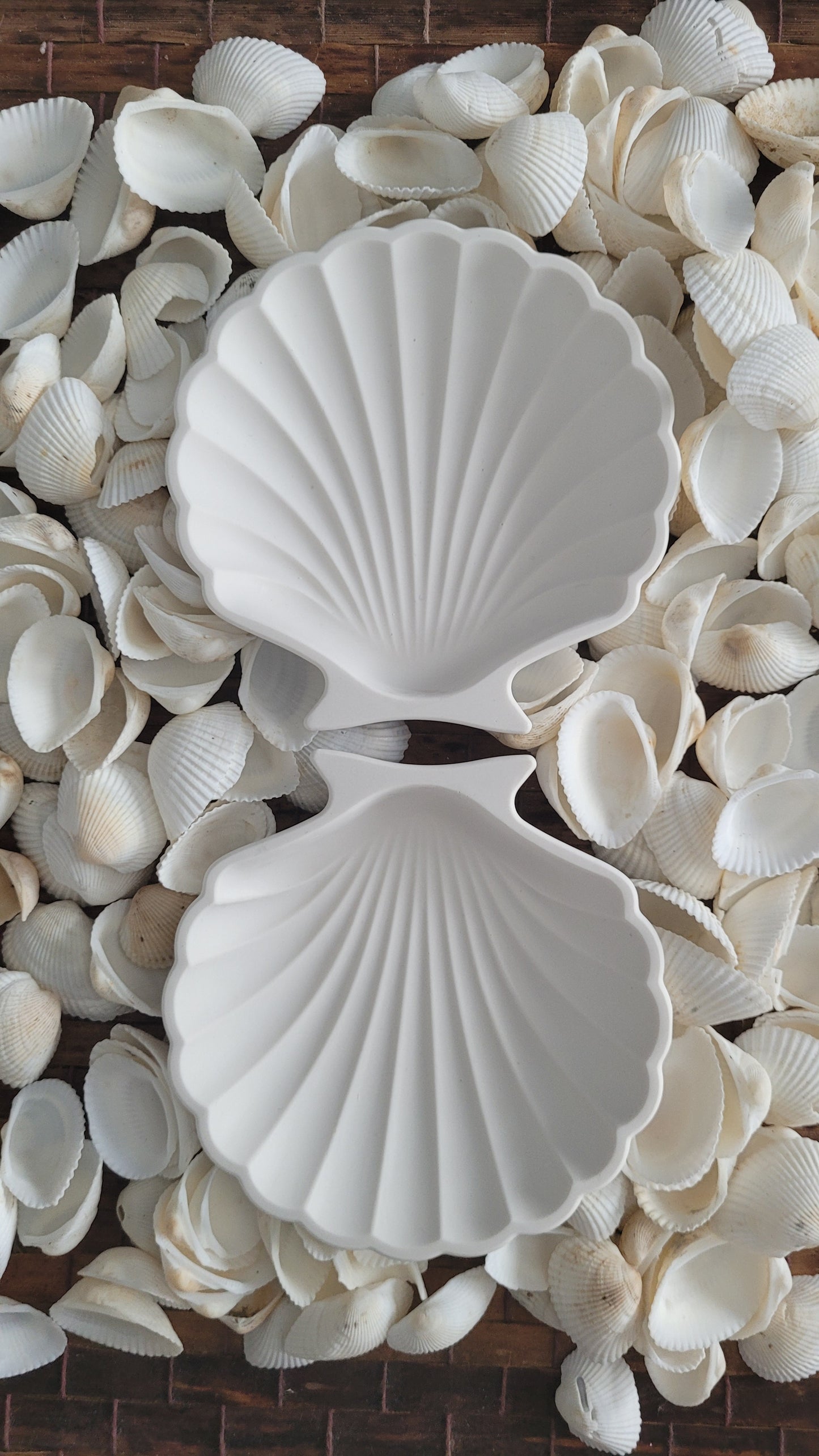 Shell Dish