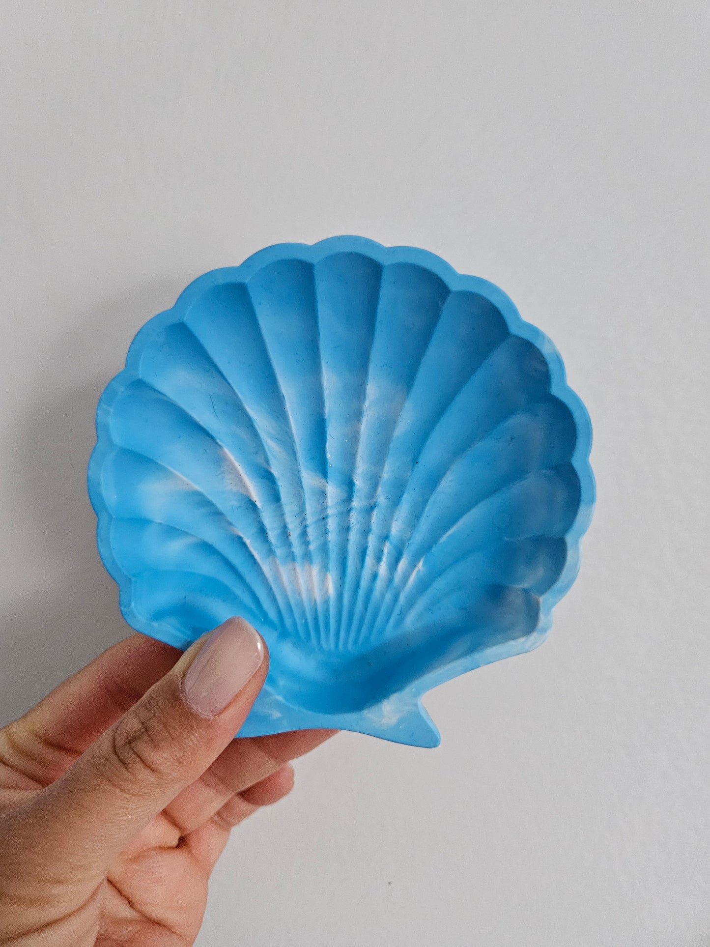 Shell Dish