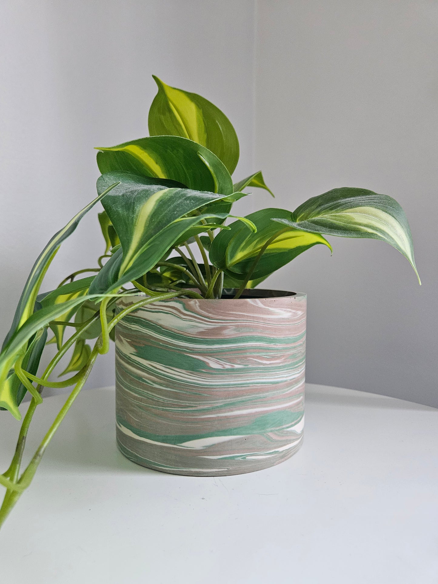 Neutral Plant Pot