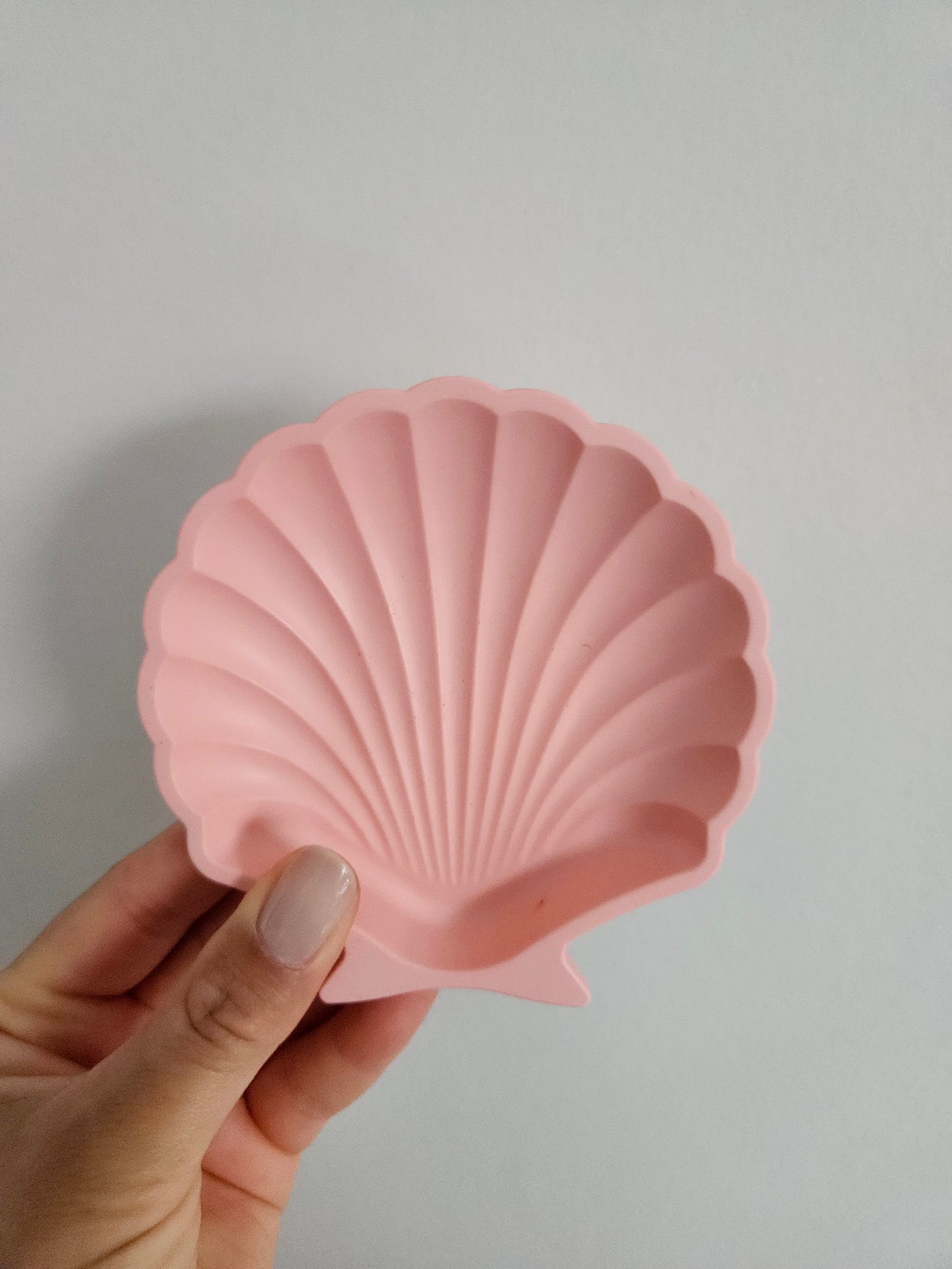 Shell Dish