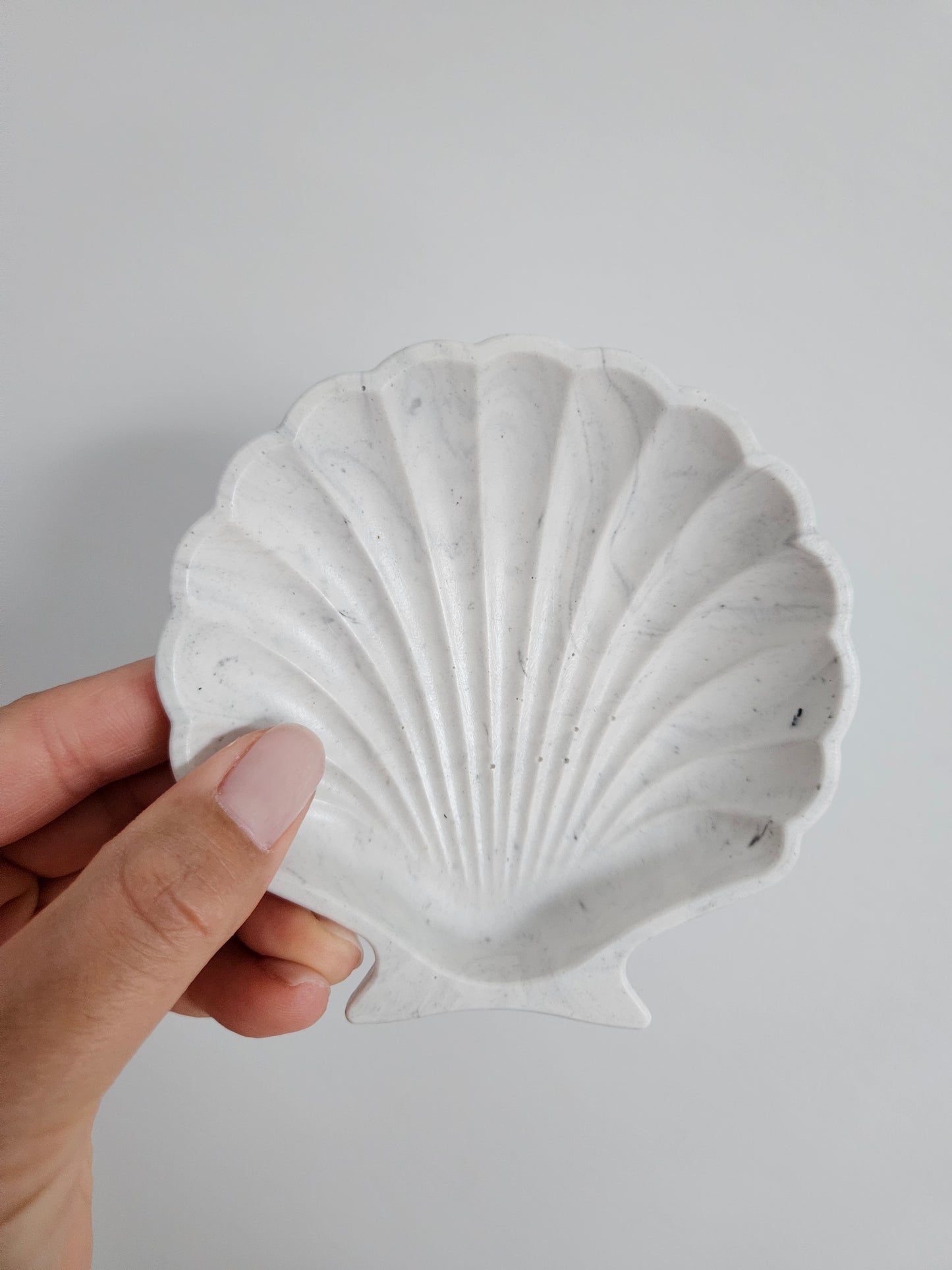 Shell Dish