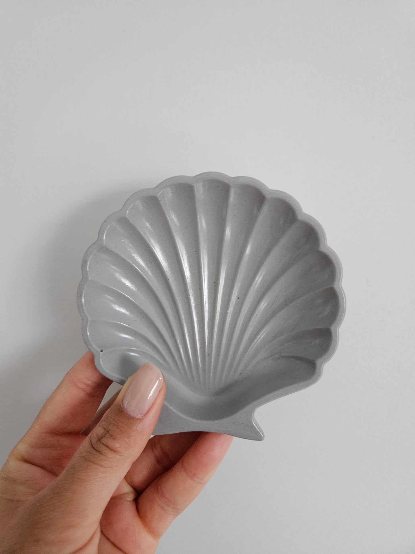 Shell Dish