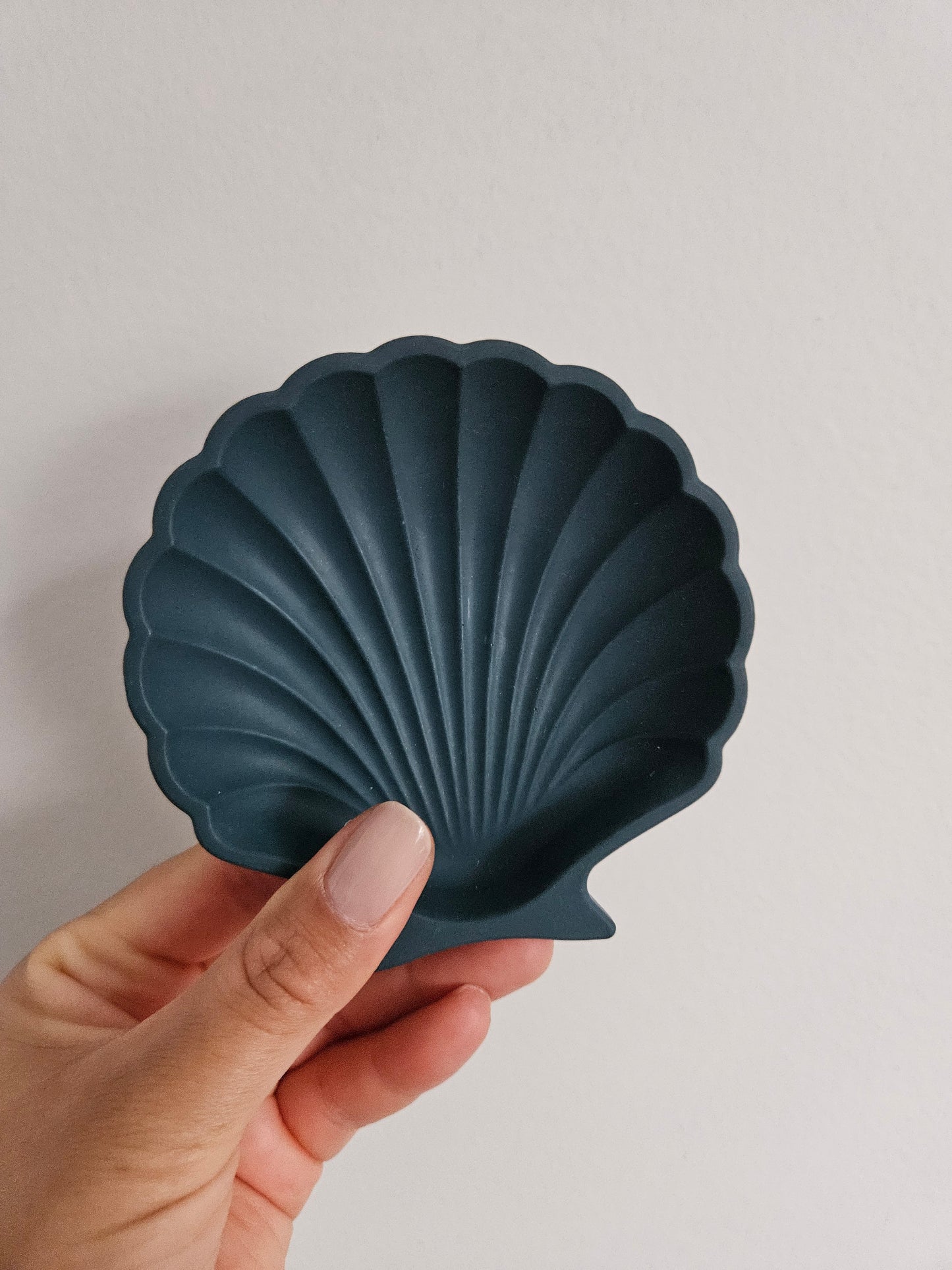 Shell Dish