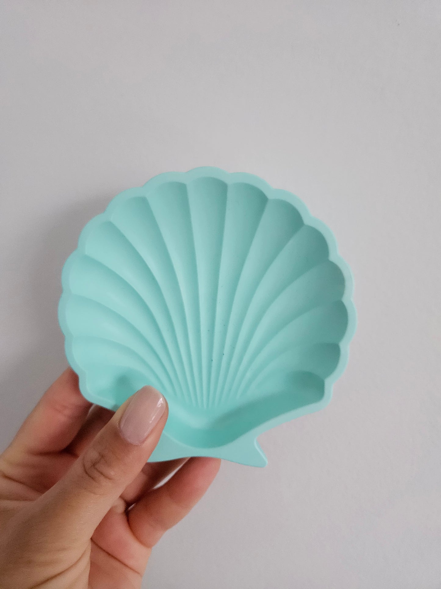 Shell Dish